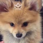 Princess - @princesscastrosouz - Instagram