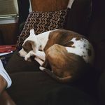 Princess Craig - @smithprincess12 - Instagram