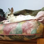 princesscraig - @princesscraig3 - Instagram