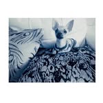 Princess Davila(perro)🐶 - @princess.davila - Instagram