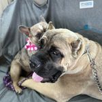 @princess_and_drakeo - Instagram