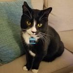 Princess Gary - @theprincessgary - Instagram