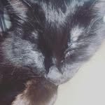 Princess - @princess.graves1 - Instagram