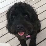 Princess Lilly Hogan - @princesslilly638 - Instagram