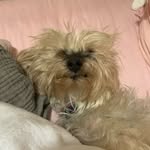 Knoxy - @princessknoxy - Instagram