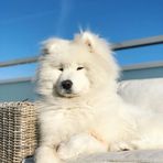Princess Knox - Facebook