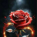 Princess Lang - Facebook