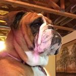 Princess Madison - @princessmadisonnn - Instagram
