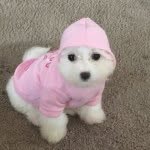 Princess marks - @cutedarlingandprincess - Instagram