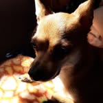 princess miles - @princessmiles6 - Instagram