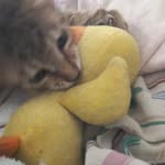 princess miles - @mcmiles - Instagram