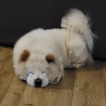 Elsa 🐶 - @princess.elsa.newman - Instagram