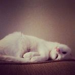 Luna Princess Newman-Braddock - Facebook