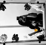 Priscila Alvarez - Facebook