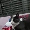 priscilabecker193 - @priscilabecker193 - TikTok