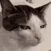 priscilajimenez537 - @priscilajimenez537 - TikTok
