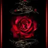 Priscilla Allred - @priscilla.allred - TikTok