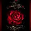 priscillaallred - @priscilla.allred1 - TikTok