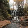 Priscilla Atkinson - @priscilla.atkinso1 - TikTok