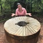 Priscilla Baum - @mercurial_biochemist - Instagram