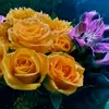 Priscilla Baxter416 - @aminah53b - TikTok