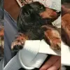 Priscilla.Becker - @priscillabeckerqzklvk - TikTok