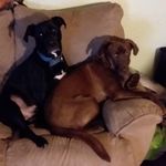 Priscilla Brady - @priscilla.brady.hazen.96 - Instagram