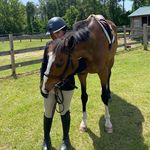 Priscilla Brice Chivers - @equestrian_p.b - Instagram