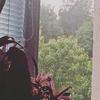 Priscilla - @priscilla_bravewatcher - TikTok