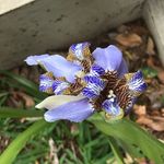 Priscilla De Souza Cano - @pripri_3 - Instagram