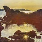 Priscilla Chambers 736 - @kubramertoglu67309331 - Instagram