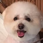Priscilla Cheng - @priscilla_cheng2021 - Instagram