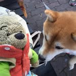Priscilla Cheng - @priscilla.cheng.35 - Instagram
