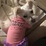 Priscilla Collazo - @priscillacollazo.73 - Instagram