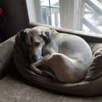 Priscilla Conn - @p.a.charlie - Instagram