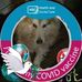 Cilla Cotterell - Facebook