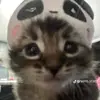 🩻. - @priscilla_crewz_2 - TikTok