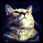 Priscilla Driggers - @priscilladriggers - Instagram