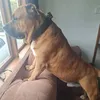 Priscilla Drummond - @priscilla.drummon - TikTok