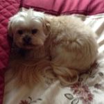 Priscilla Drummond - @priscilla.drummond.52 - Instagram