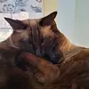 Priscilla Fairbrother - @priscilla.fairbro - TikTok