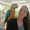 Priscilla Gauthier - @priscig77 - TikTok
