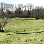 Priscilla And Michael Goodwin - @windrush_farm_rappva - Instagram