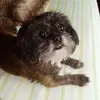 Priscilla - @priscillaharrell3 - TikTok