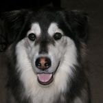 Priscilla Hayden - @priscilla.hayden.7 - Instagram