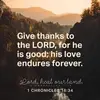Priscilla Hayes - @priscilla.hayes4 - TikTok