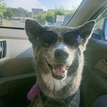 Priscilla Hebert - @neonotresuperheros - Instagram