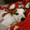 Priscilla Henry Johnson - @priscilla.henry.j - TikTok