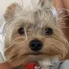 jdjsjshsbsjsk8227 - @priscilla.ho - TikTok