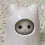 Priscilla Ho - @pricaaho._ - Instagram